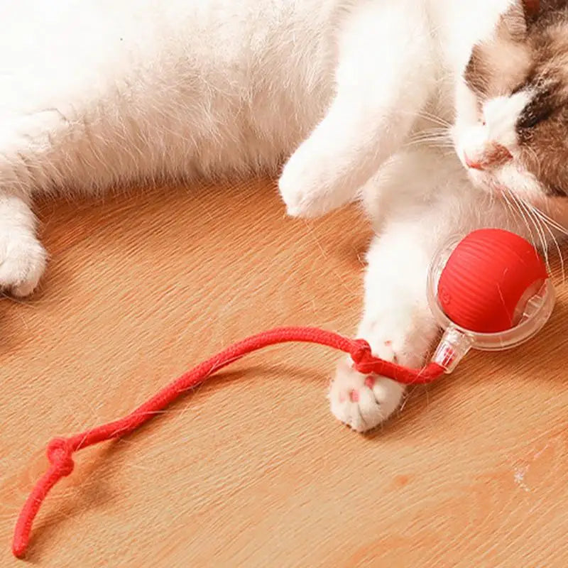 Cat Ball Toy Automatic Rolling Ball Interactive Toy Electric Cat Toy Faux Tail Motion Sensor Cat Toy Balls for Cat Interaction